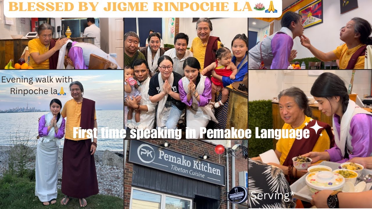 Feel so blessed and lucky to have the chance to serve JIGME RINPOCHE LA 🪷💐|📍Pemako.Kitchen #tibetan