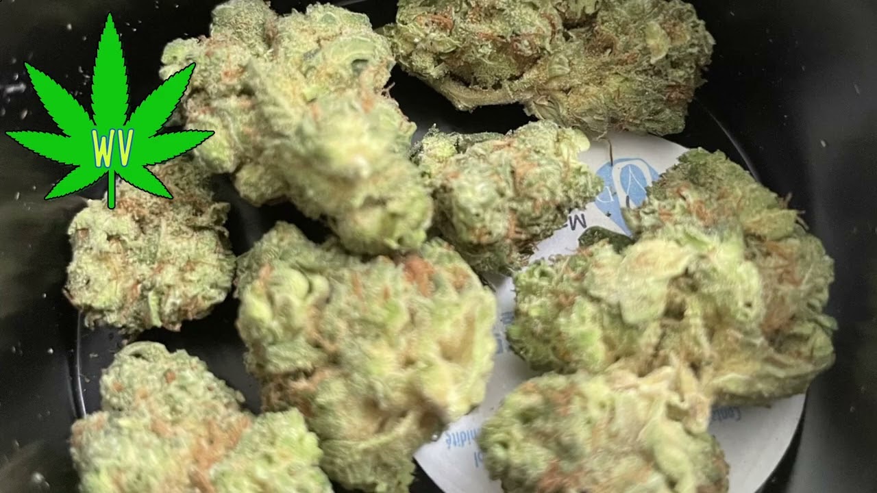 Medical Cannabis Review: Modern Flower I79 Hybrid