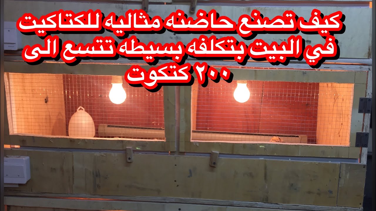 كيف تصنع حاضنه للكتاكيت تتسع الى ٢٠٠ كتكوت في المنزل بتكلفه بسيطه