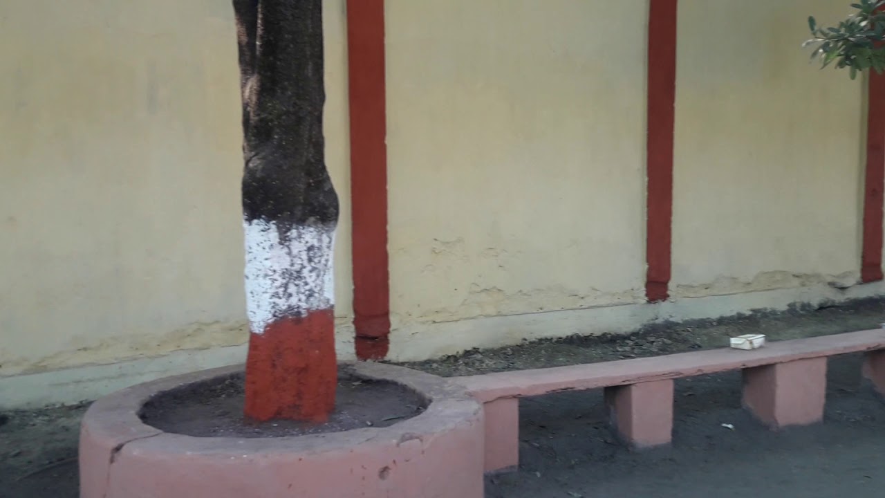 Republic Day Celebration, 2020 at D A V Model School CFRI