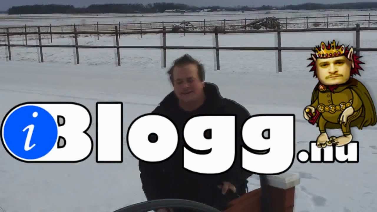 Ibloggs 