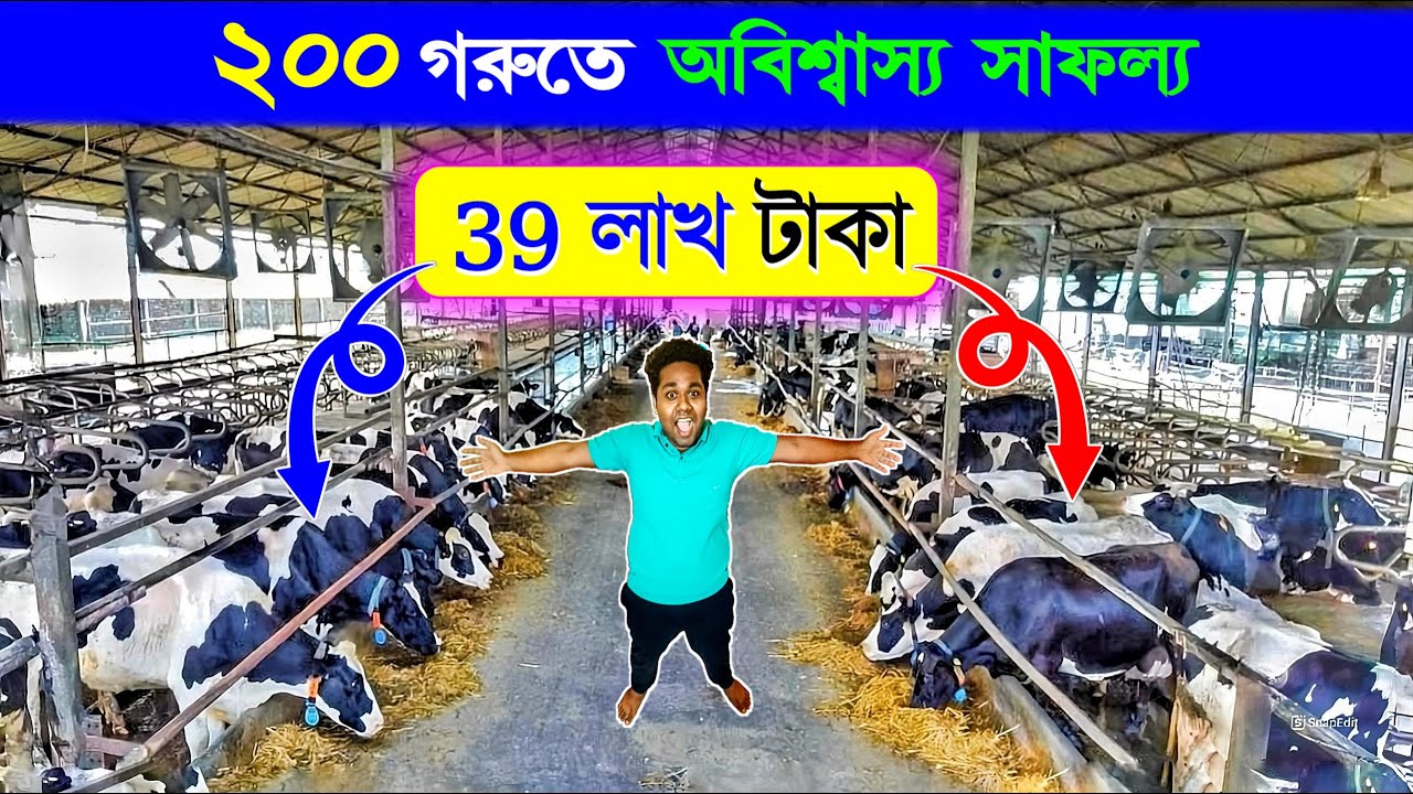 গরুর দুধে 39 লাখ টাকা অবিশ্বাস্য সাফল্য | Largest Dairy Farm | Cow Farming | Cow Farming Profit