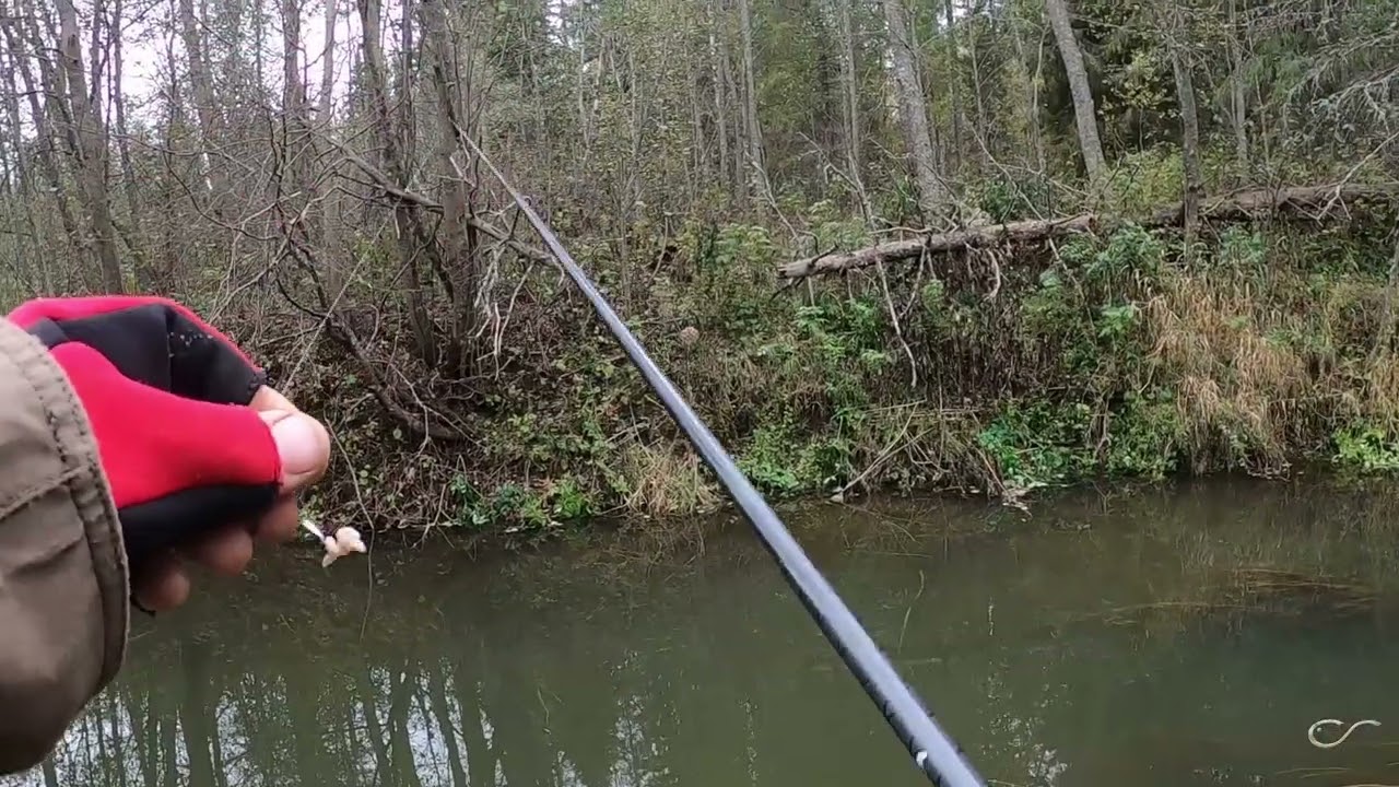 Хариус, ловля на мормышку