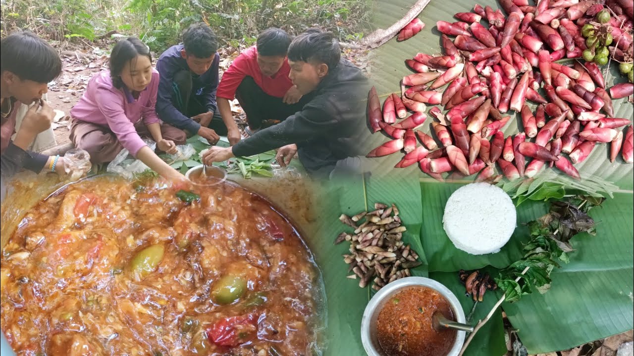 We went foraging for seasonal vegetables in the forest and cooked a delicious meal.