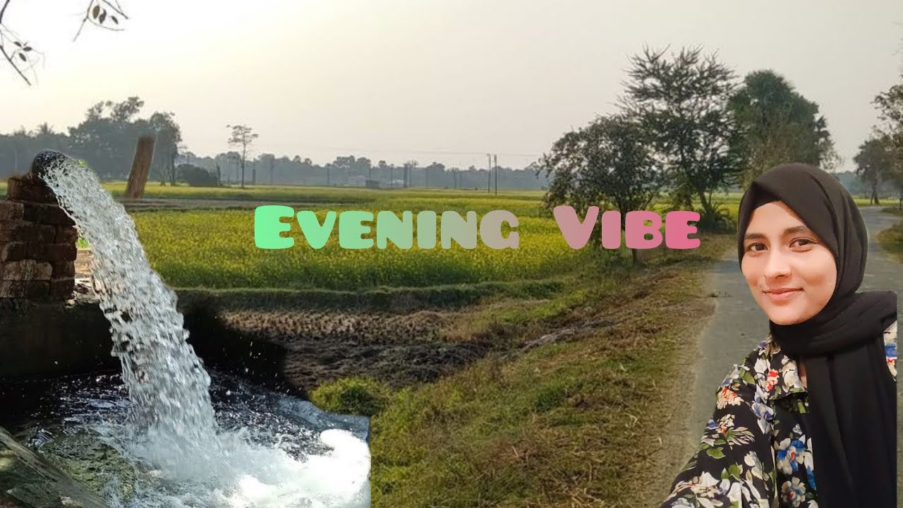 മൂന്നുപേരും കൂടിയാൽ പിന്നെ പറയേണ്ട 🏡 കൂട്ടത്തിൽ😺 ഇവളും🫣@Habeeba-s1b 