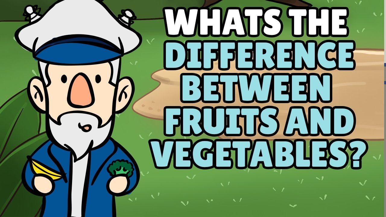 Difference Between Fruits and Vegetables? | Is a Cucumber a Fruit