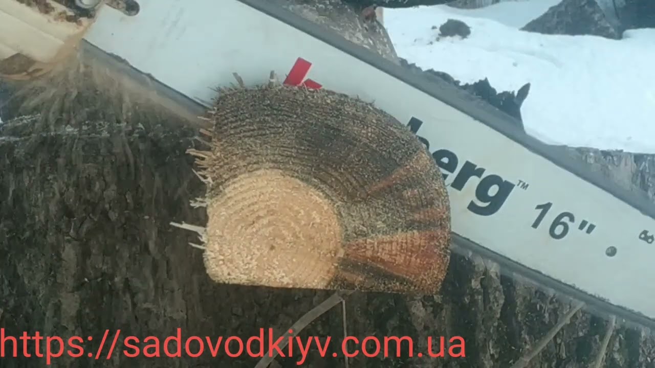Обзор на цепь и шину камберг