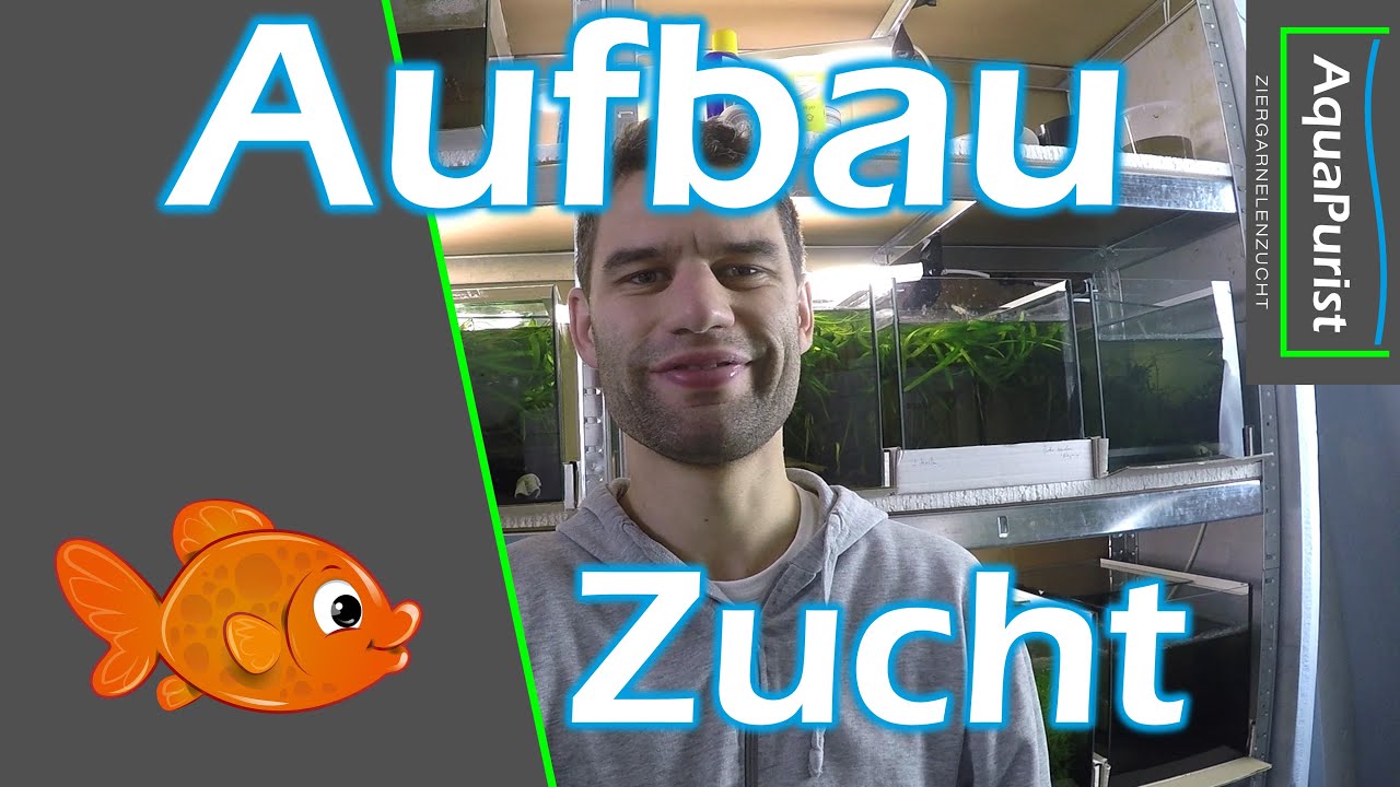 Aufbau meiner Zuchtanlage [mit Pflanzenpacket von Stefan]