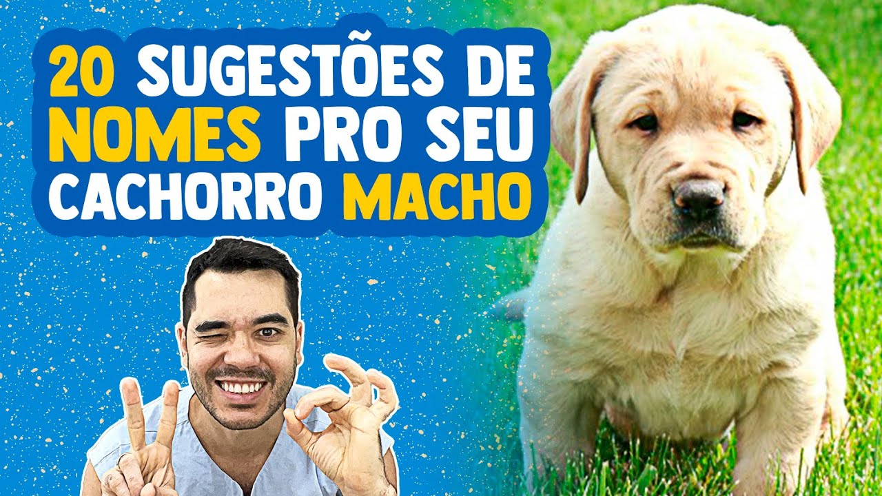 20 Sugestões de NOMES DE CACHORRO MASCULINO (MACHO) pra Você colocar no seu Cachorro HOJE. ESCOLHA!