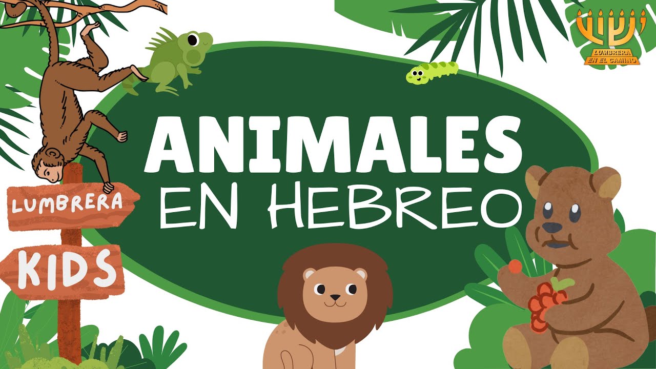 Los Animales en HEBREO para NIÑOS | Yofi Tofi #2 | Lumbrera KIDS