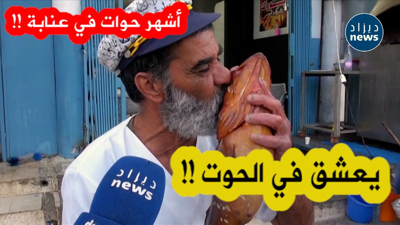 شاهد قصة عمي السبتي أشهر 