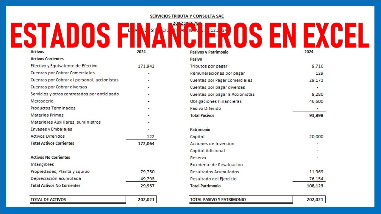 ESTADOS FINANCIEROS EN EXCEL 2024-2025 - Estado de Situaci&oacute;n Financiera y Estado de Resultados