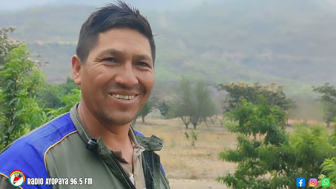 ✓✓PRODUCCIÓN DE DURAZNOS TEMPRANEROS EN INDEPENDENCIA 🇧🇴