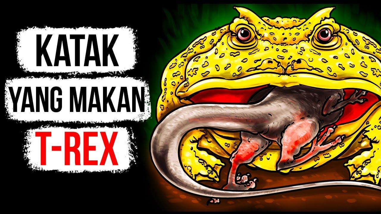 Awas! Gigitan Katak Ini Lebih Kuat daripada Srigala!