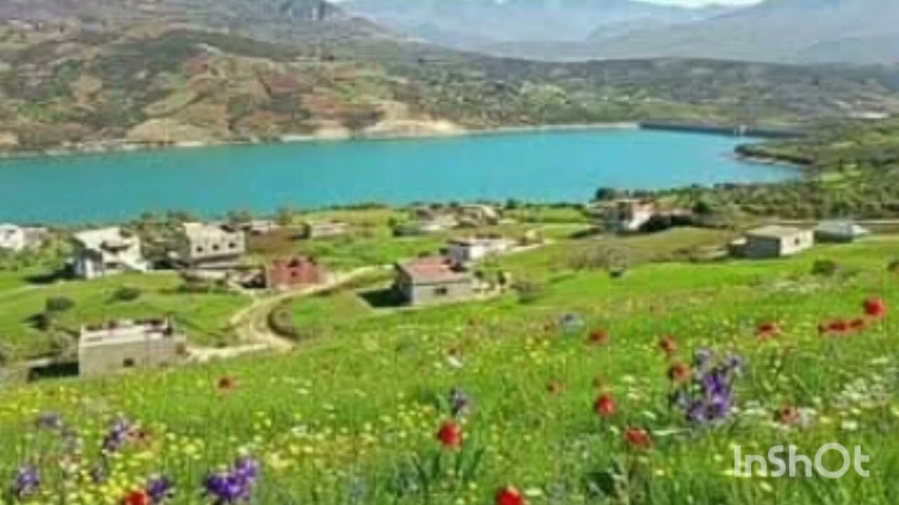 وسواس غسل اليد من النجاسة 
