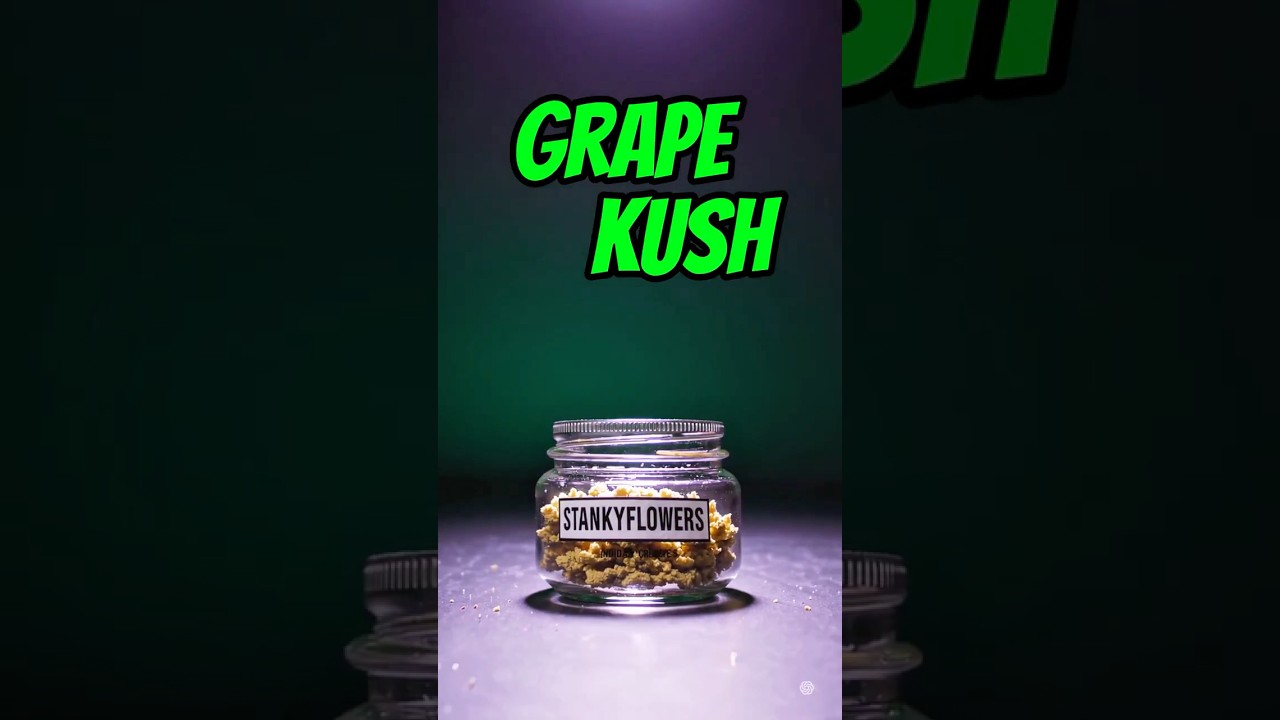 Grape Kush Wax (Sativa) &ndash; Roll One at Trulieve