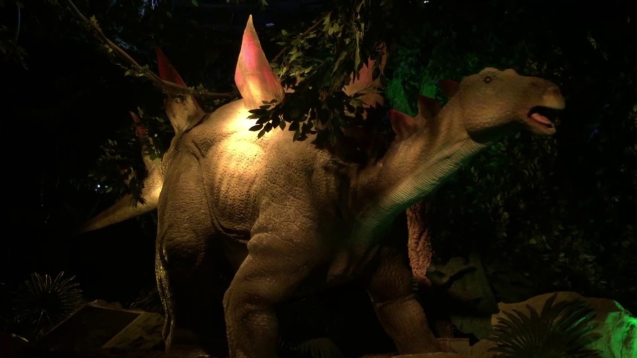 Zoomarine-L’Era dei Dinosauri 2019