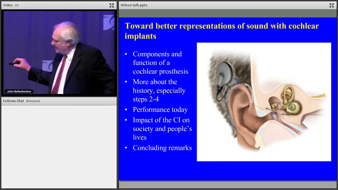 Better Hearing with Cochlear Implants - Blake Wilson