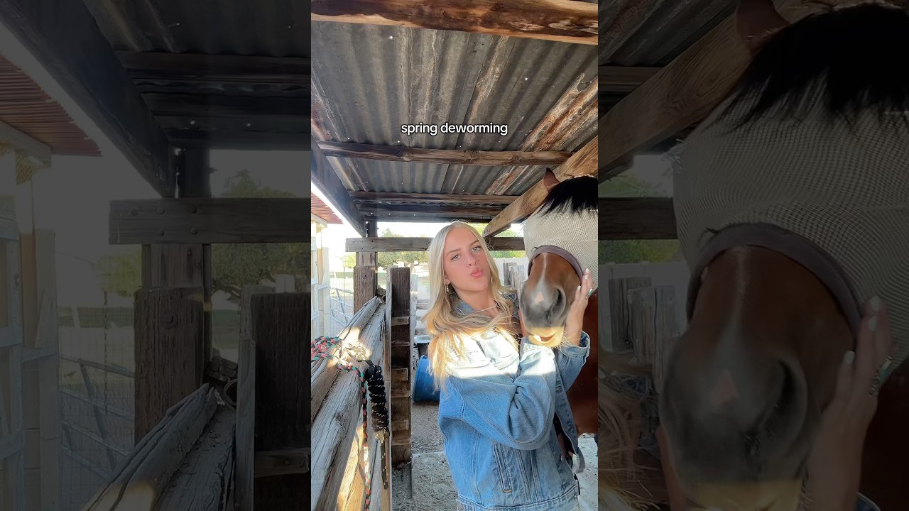 must not taste good #horsegirl #westernhorse #westernlifestyle #deworm #spring