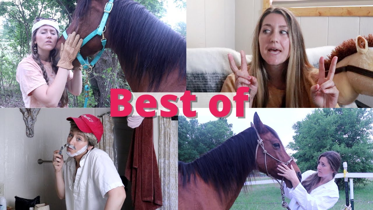 Best of Gypsy Equestrian 😂