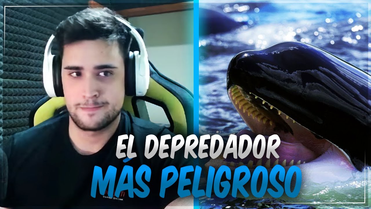 BEELCE REACCIONA AL ''LORE DE LAS ORCAS''