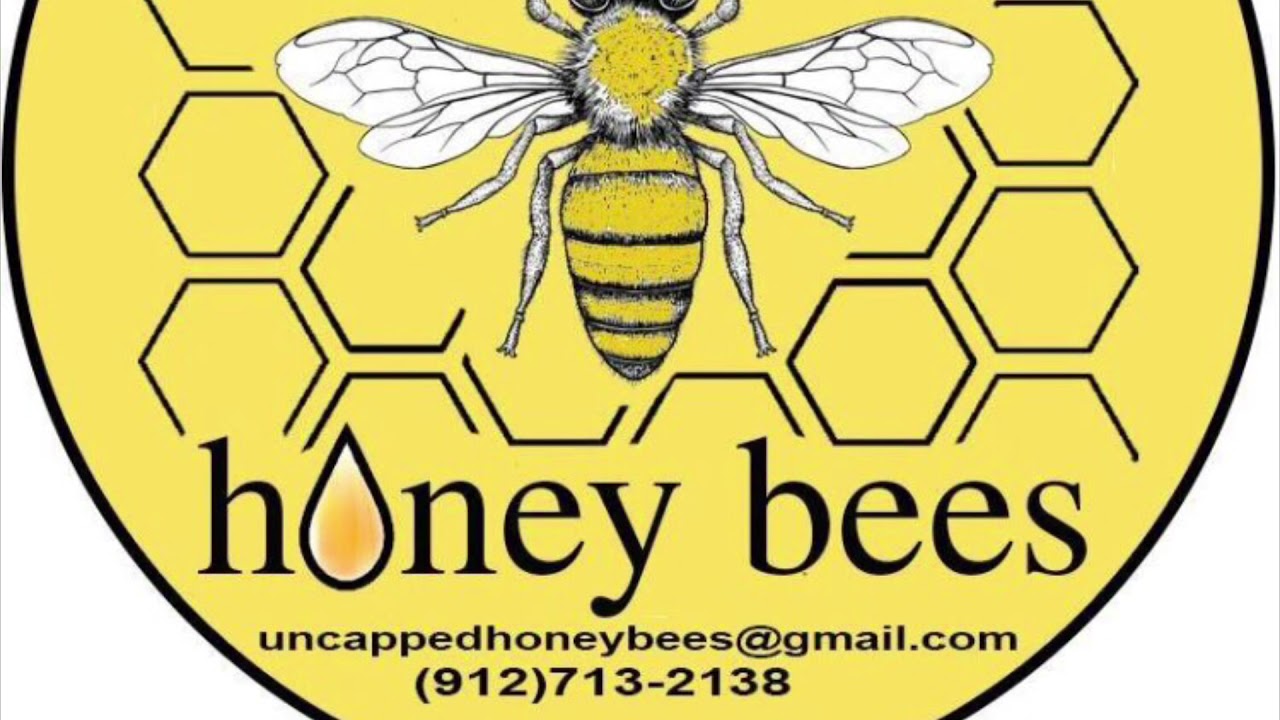 Fixing A Laying Worker Hive