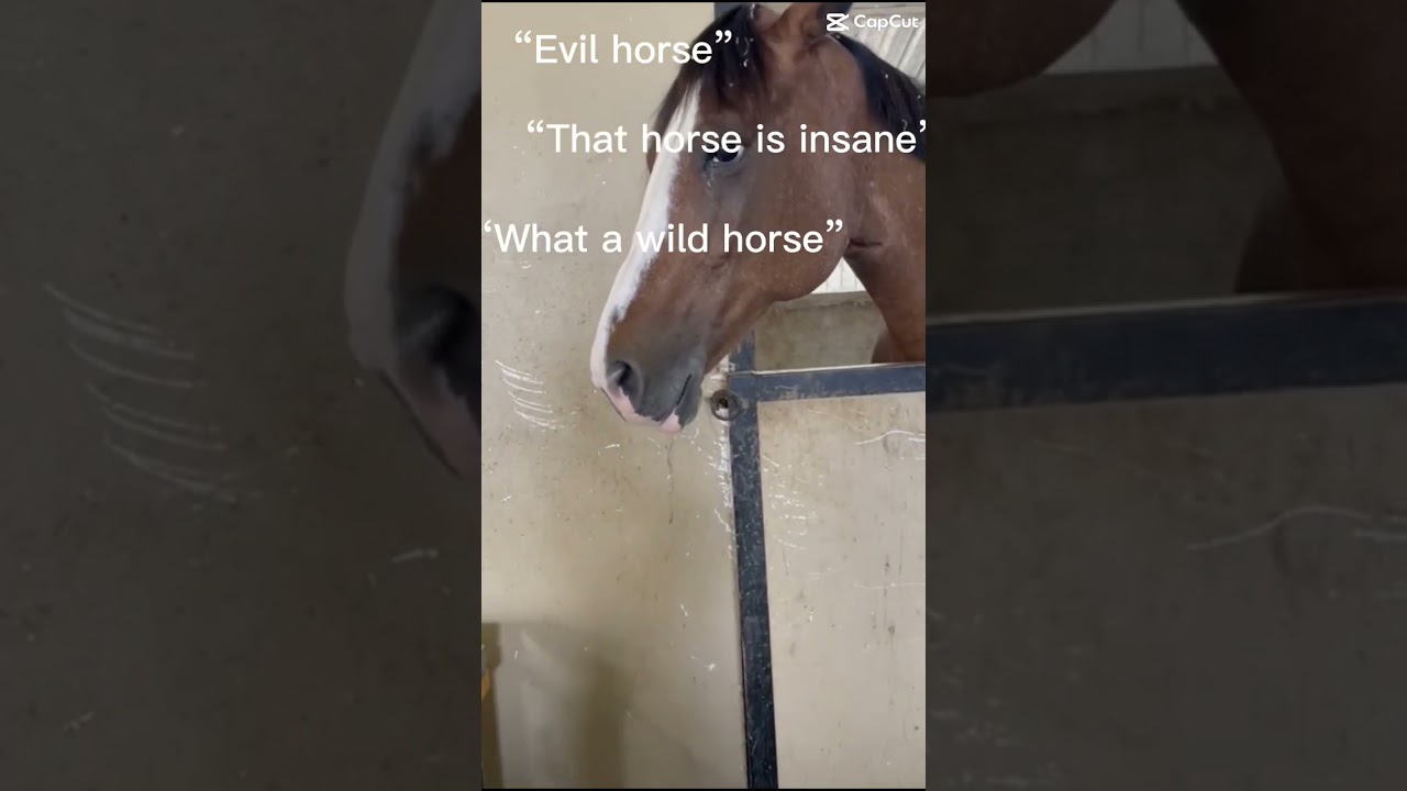 Evil horse! 👿