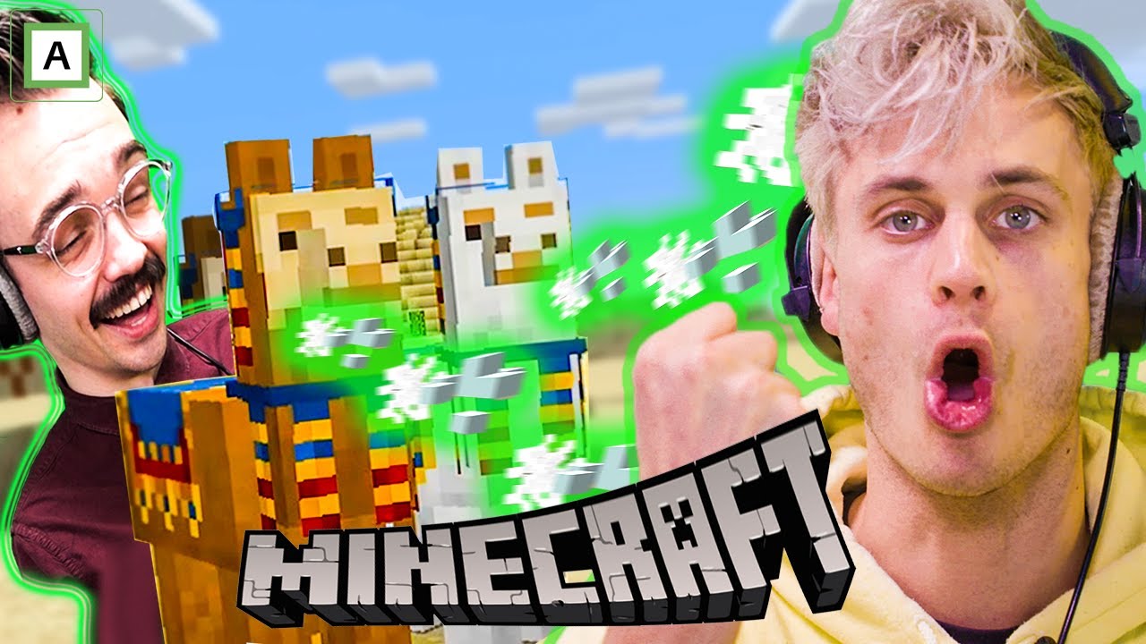 LAMAENE ER JO HELT KLIKKA - Minecraft 2
