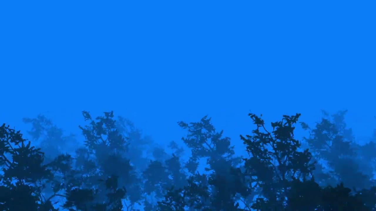 4 Hours Wind Sounds for Deep Sleep 🌬️ Calming Night Wind Ambience