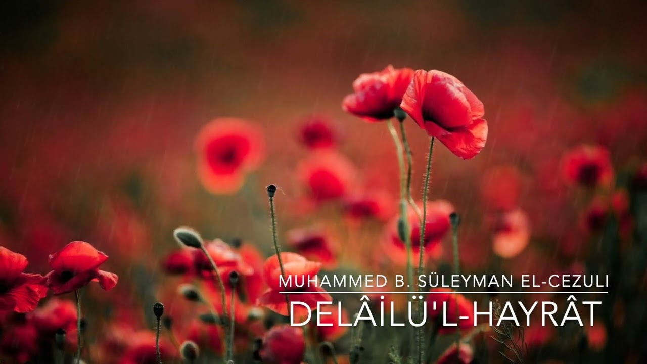 DEL&Acirc;İL&Uuml;&rsquo;l-HAYR&Acirc;T (tamamı) Delail&uuml;l Hayrat