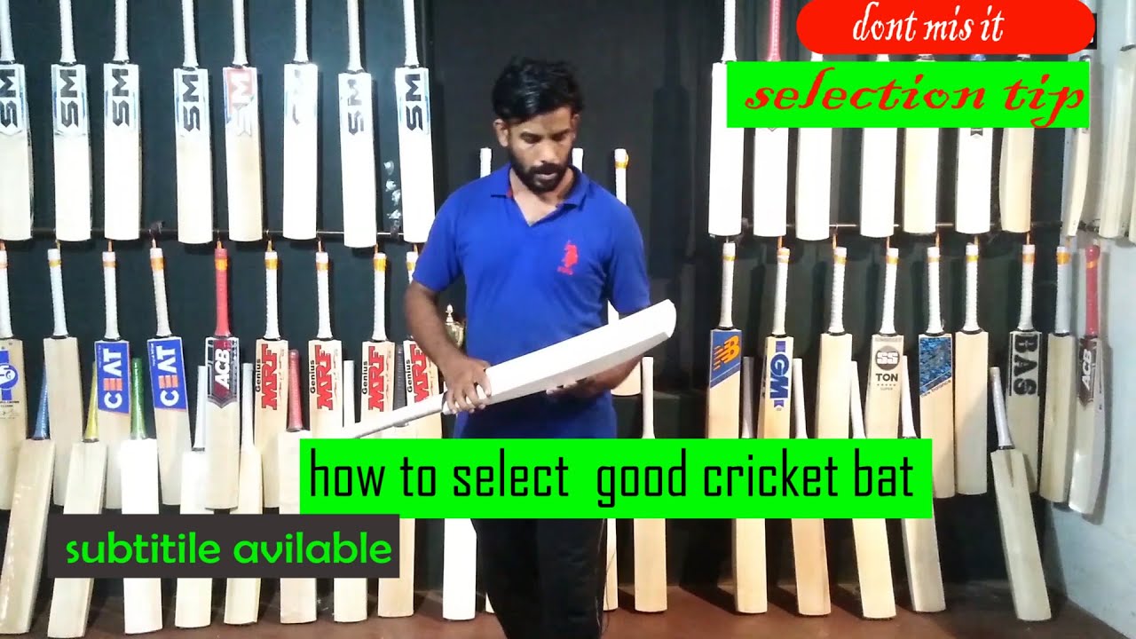 how to select cricket bat