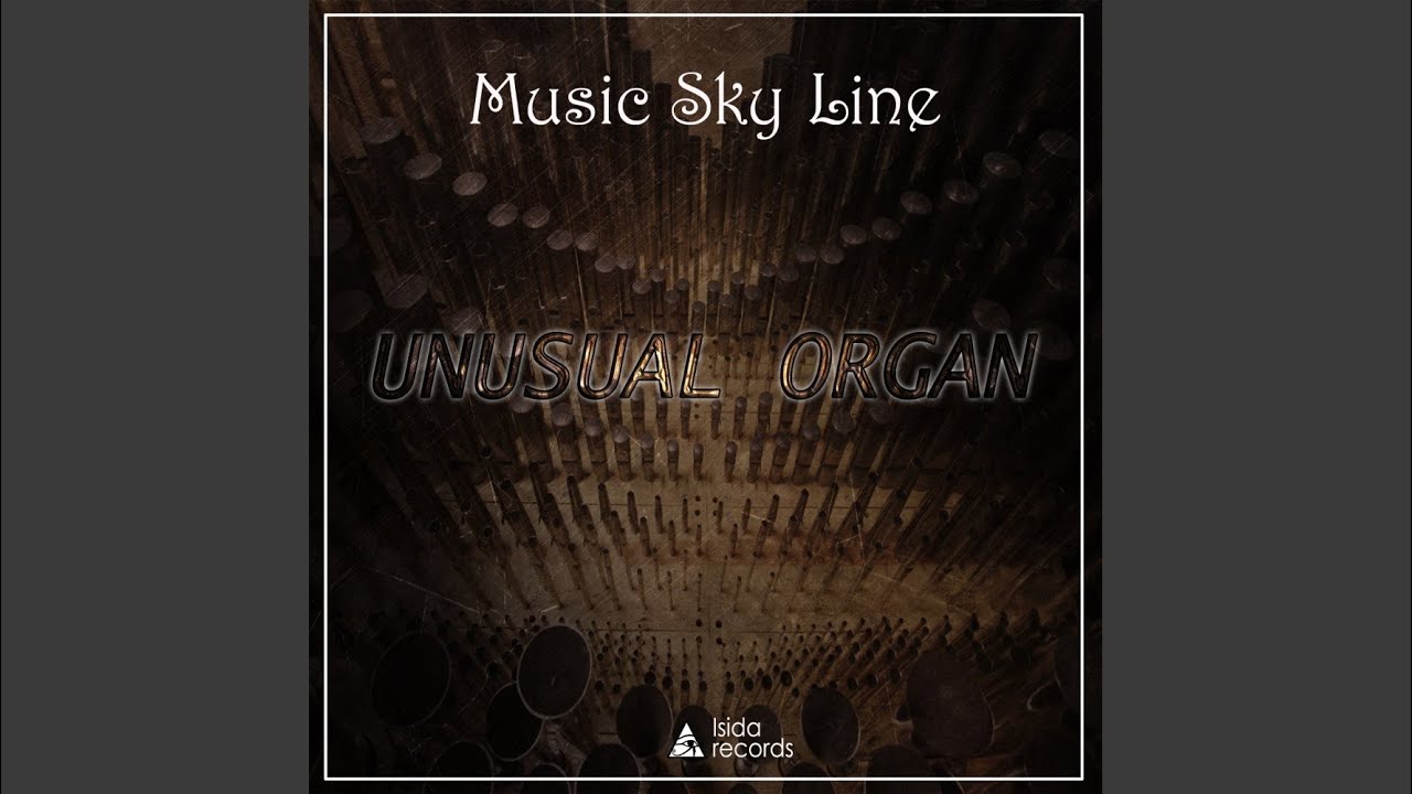 Unusual Organ (Original Mix)