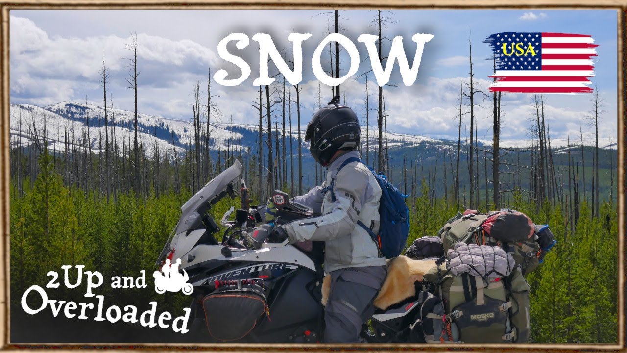 Oh yeah... It's SUMMER in Yellowstone 🥶 [S1.1 E15]