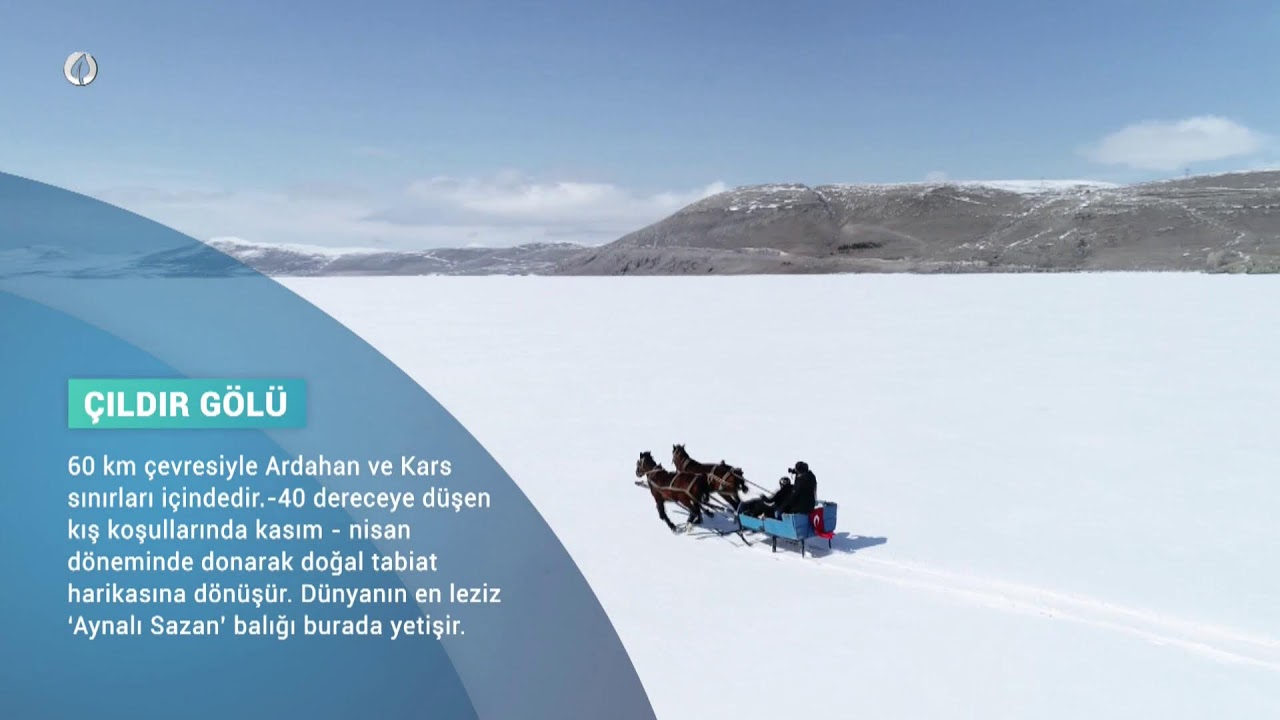 #CANLI AGRO TV İle GÜNAYDIN