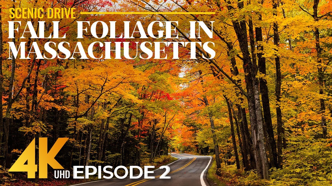 Relaxing Fall Drive in Massachusetts 4K | Virtual Autumn Road Trip with New England Colors - Ep 2