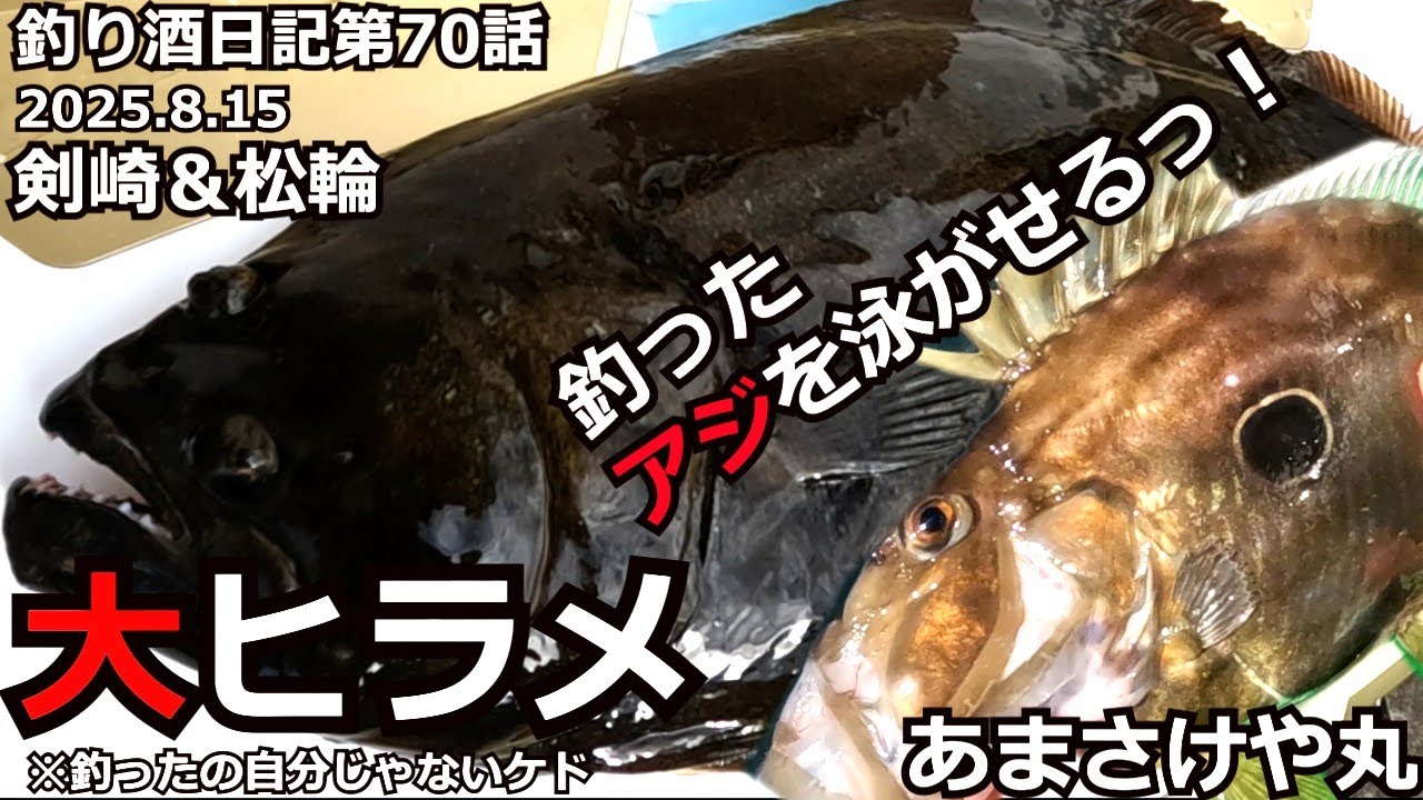 釣り酒日記第70話【アジの泳がせ釣り】釣れたらデカい！剣崎でアジ釣って泳がせて大物を狙ってたら…