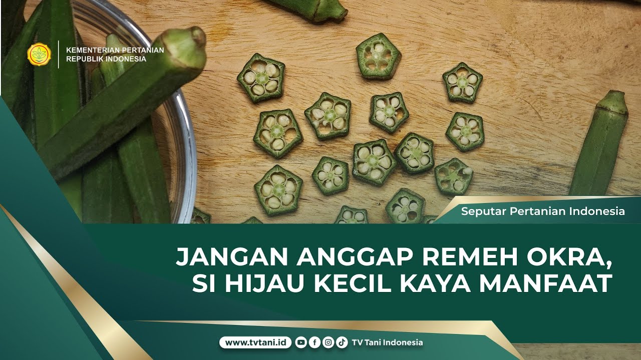 Mengenal Okra, Sayuran Unik Mirip Oyong yang Banyak Manfaat