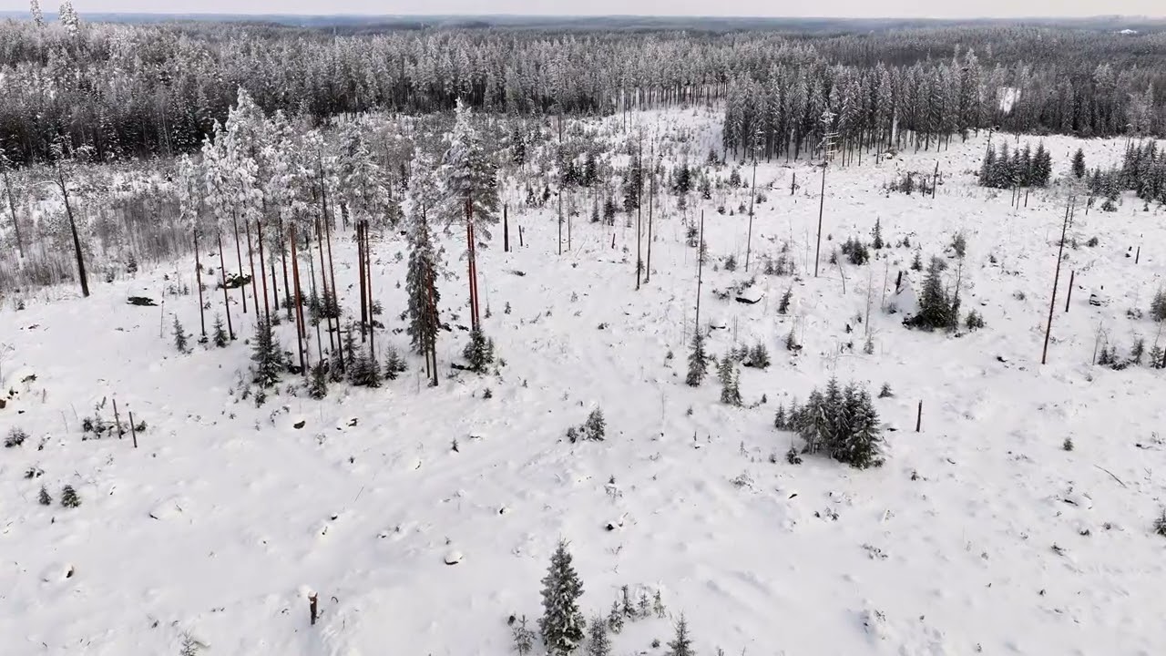 KIPAKAN PAKKASPÄIVÄN ETELÄ-KARJALAISTEN SIELUNMAISEMAA