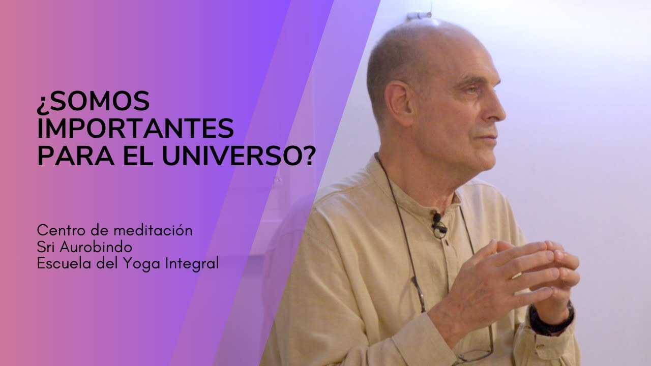 4. Nosotros y el universo somos la misma consciencia | Yoga Integral