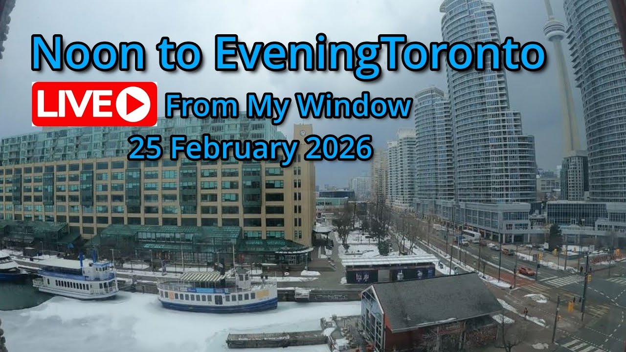 🔴Toronto Window Cam LIVE HD | MaoChow Adventure 25th Feb 2026 Noon to Eve