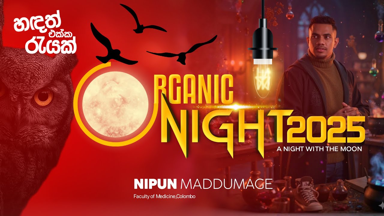 ORGANIC NIGHT 2025 🦉| හඳත් එක්ක රැයක්...🚀 | Nipun Maddumage