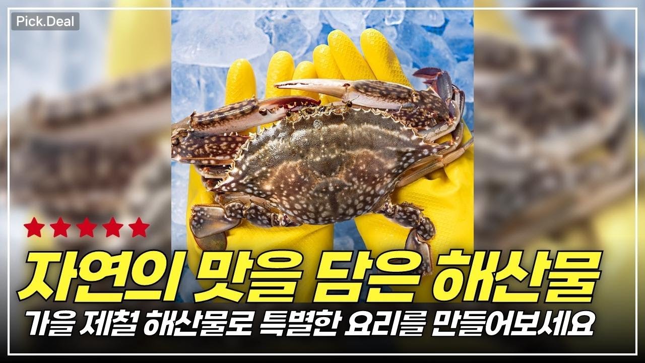 가을, 봄 최고의 별미! 제철 해산물로 감동의 한 끼 만들기