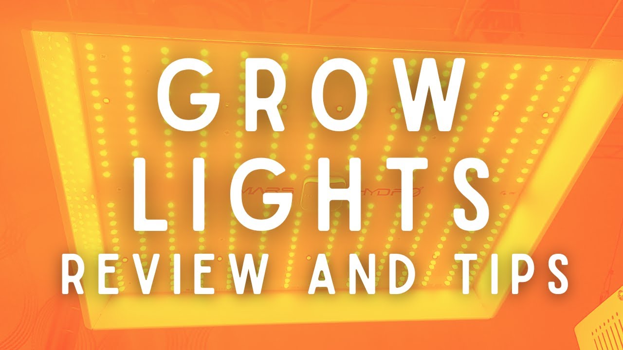 Reviewing Grow Lights and My Expert Tips on How to Use Them Successfully