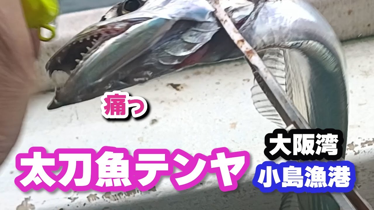 太刀魚テンヤ　洲本沖でドラゴン狙い　小島漁港　第二小島丸