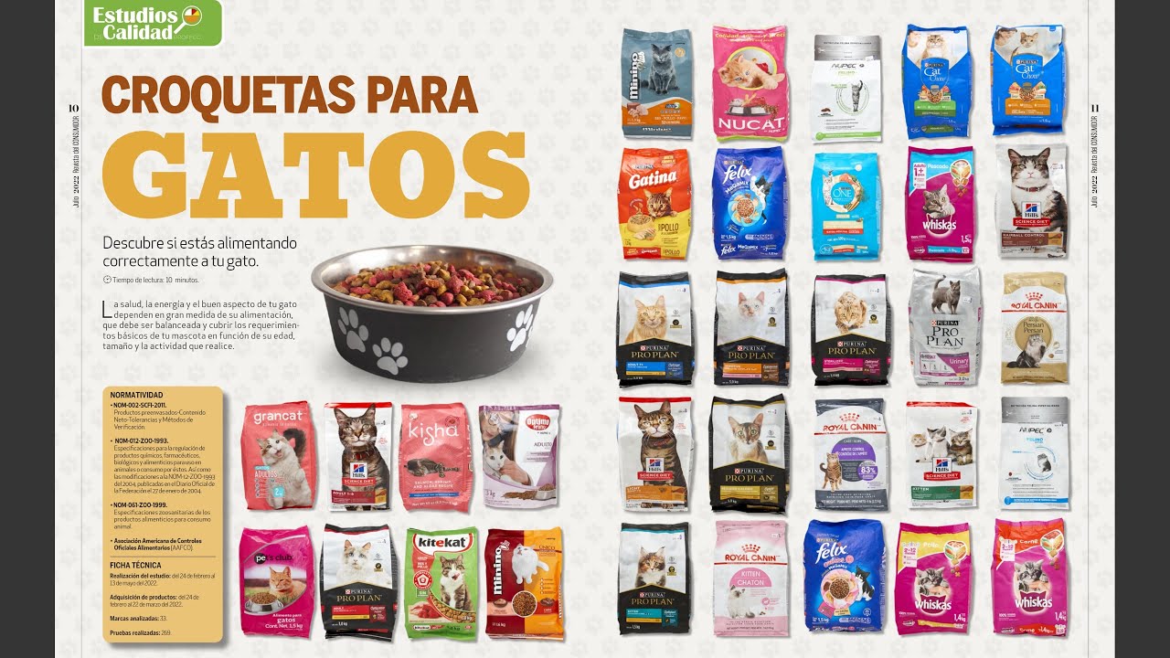 ¿Nos ENGAÑAN las MARCAS de ALIMENTO para gato? Explicación A FONDO del artículo de la PROFECO