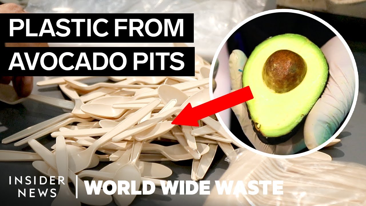 How Avocado Waste Is Turned Into Plastic | World Wide Waste | Business Insider