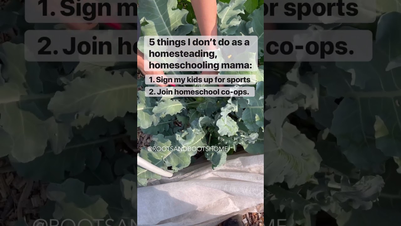 5 things I DON'T do as a homesteading, homeschooling mama 💙 📓 #shorts #homeschooling