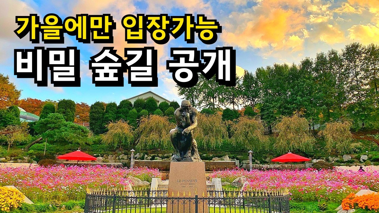 11월 가을 당일치기 단풍여행! 충북 세종 베어트리파크 / 가볼만한곳 국내여행지 추천