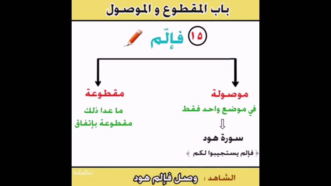 باب المقطوع والموصول | سوسن قرنوب | دار الصديقة 13