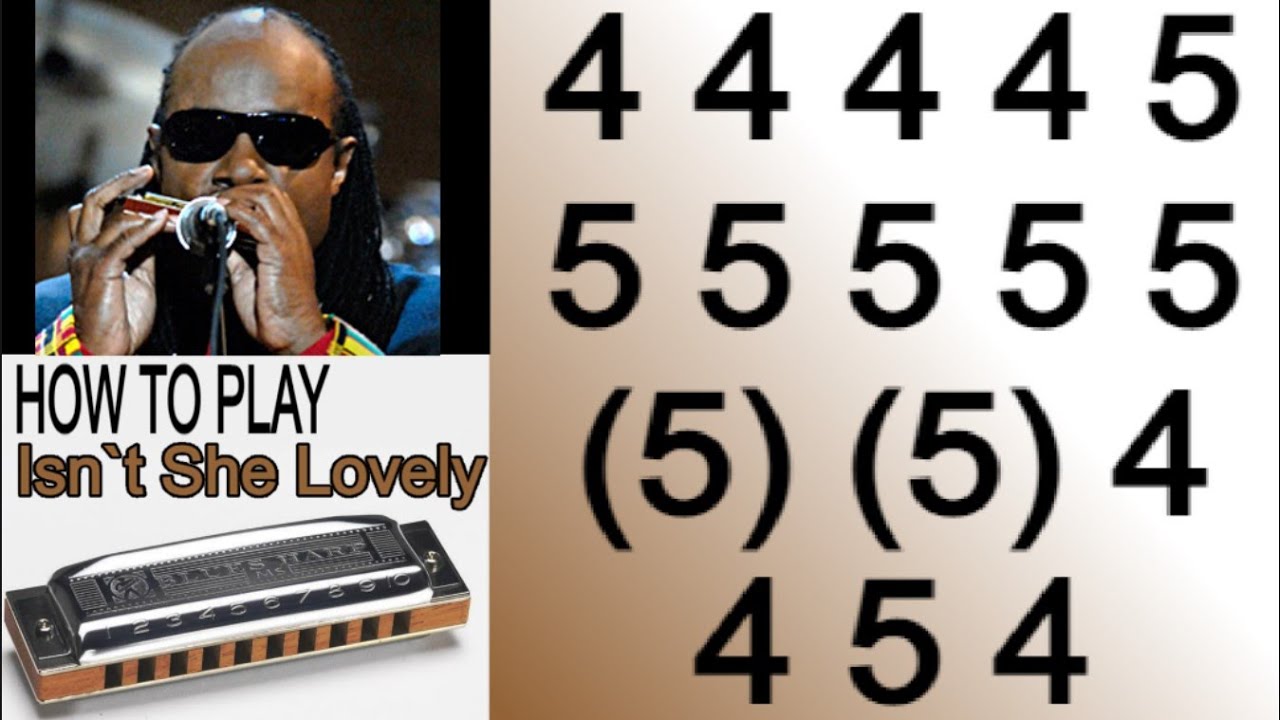 ISN`T SHE LOVELY HARMONICA ( C DIATONIC ), ARMÓNICA C, BLUES HARP C, GAITA DE BOCA C MUNDHARMONIKA C